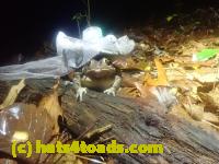 /home//u458753944/public_html/sourcegallery//McKaig Nature Center/2024-09-27/P9271590.JPG